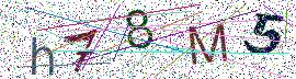 Beeld-CAPTCHA