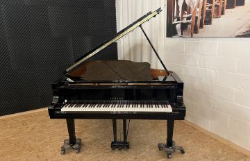 Yamaha C6 6142193
