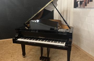 Bluthner m4 150113