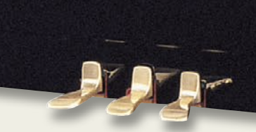 Samick JS 115