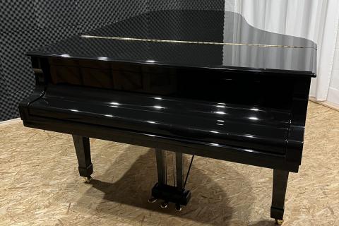 Yamaha C6 5369718