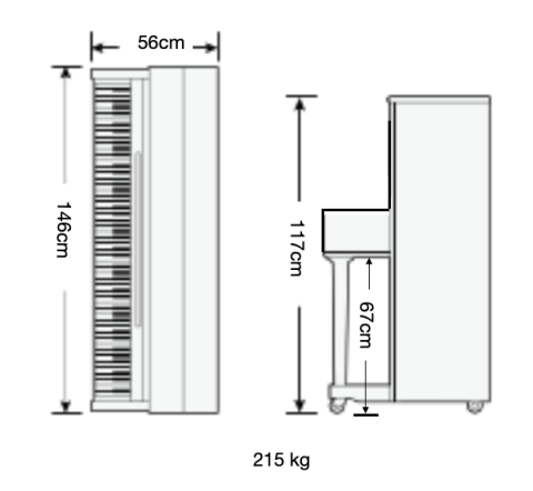 Seiler 116 Ritmo
