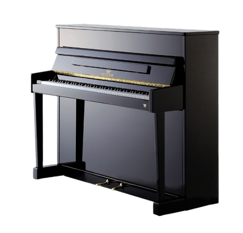 Seiler 116 Ritmo