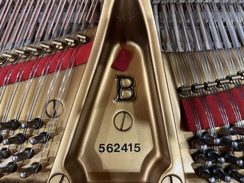 Steinway & Sons B 562415