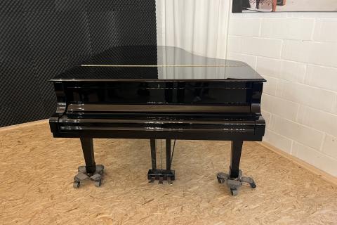 Yamaha C6 6142193