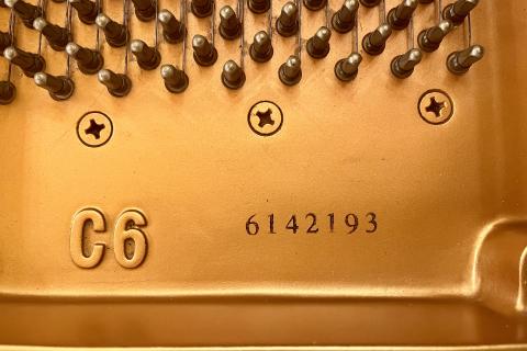 Yamaha C6 6142193