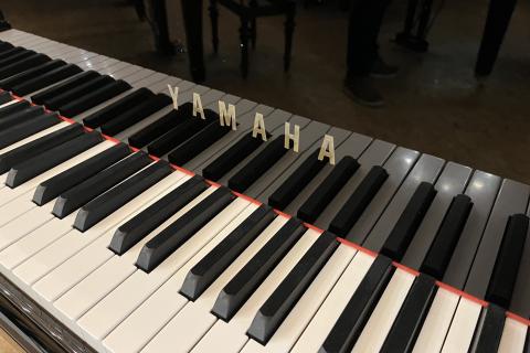 Yamaha C6 6142193