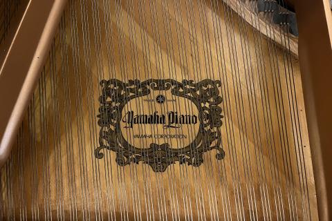 Yamaha C6 6142193
