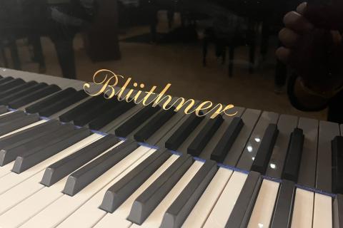 Bluthner m4 150113