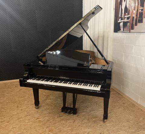 Bluthner m4 150113