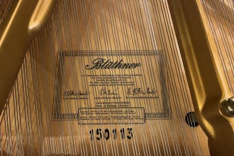 Bluthner m4 150113