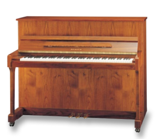 Samick JS 115