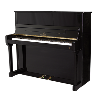 Seiler 126 Ritmo